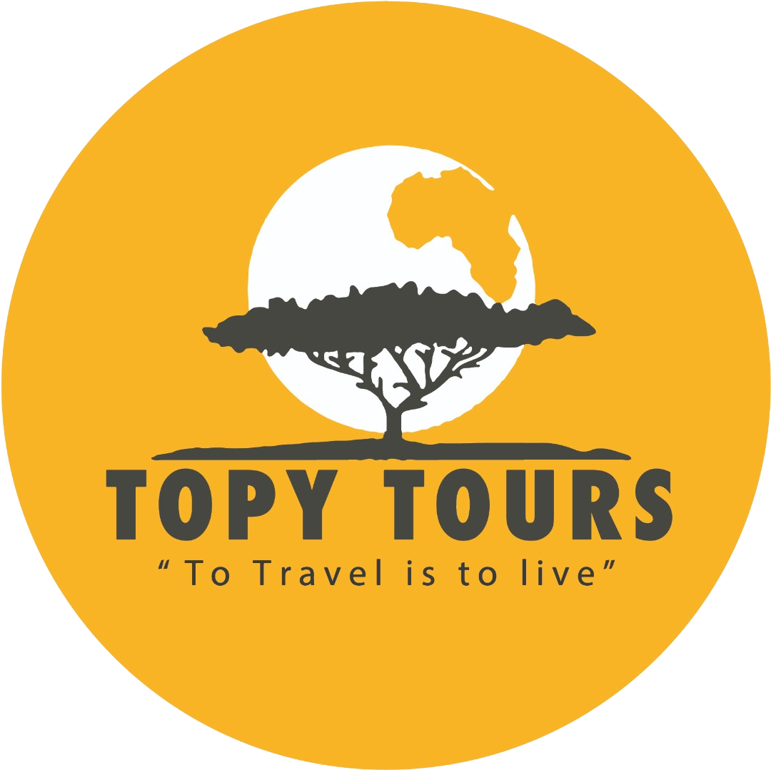 logo-2023-topy-tours