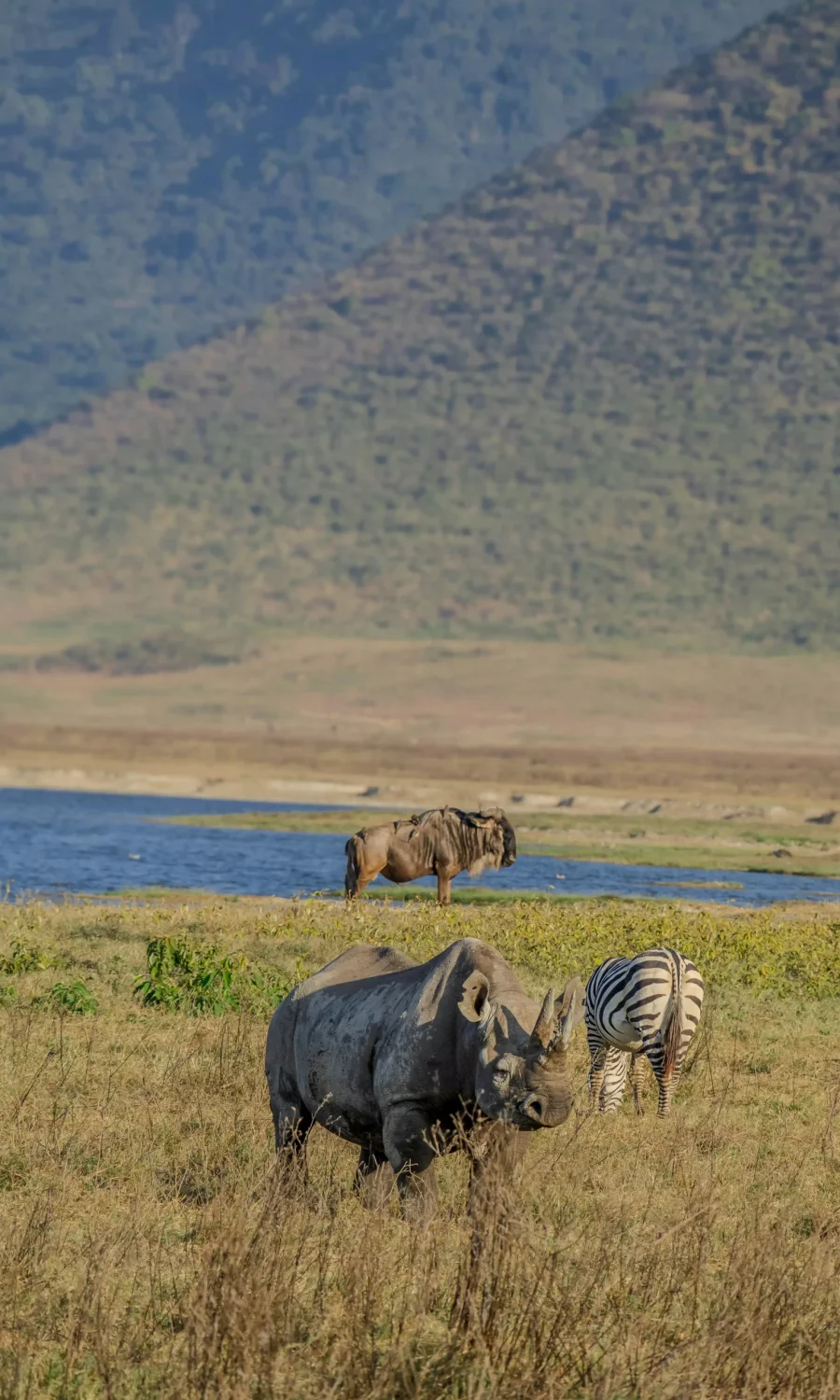 tanzania-safari-38